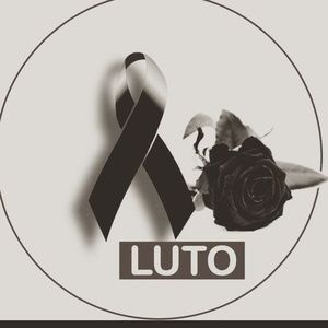 Meet your Posher, Leonardo